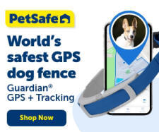 GPS + Tracking Dog Fence Collar
